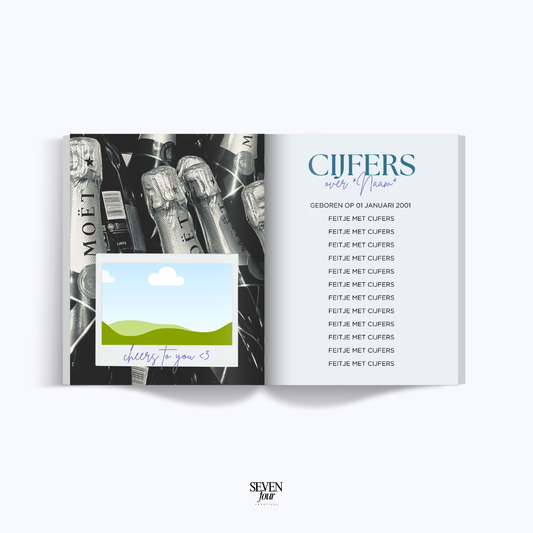 WINTER WONDERLAND - 21 diner boek