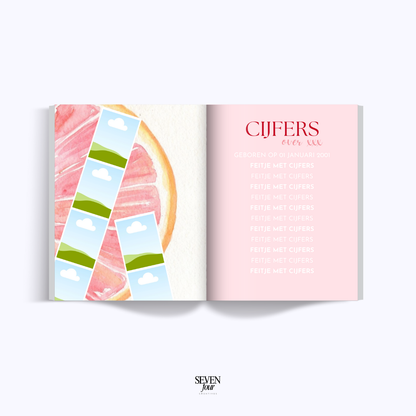 CON AMORE -  21 diner boek